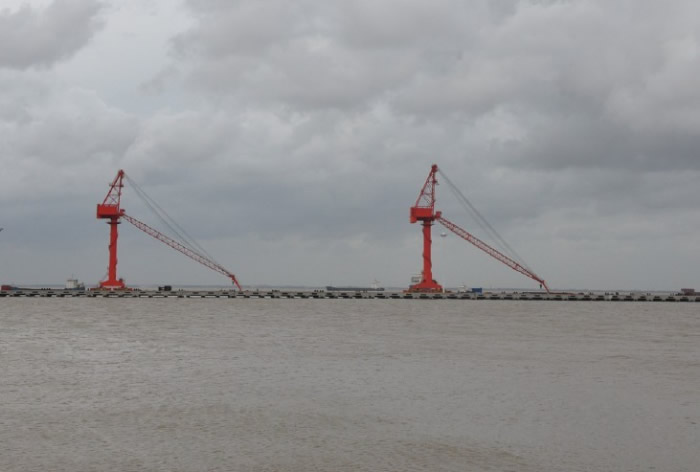 群策群力，抗擊“梅花”