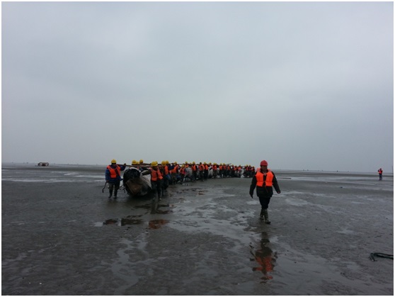通州灣項目如期復工，現場士氣高昂