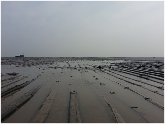 通州灣項目如期復工，現場士氣高昂